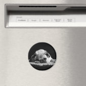 Mops-Magnet Magnet (In Situ (Geschirrspüler))