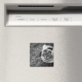 Mops-Magnet Magnet (In Situ (Geschirrspüler))