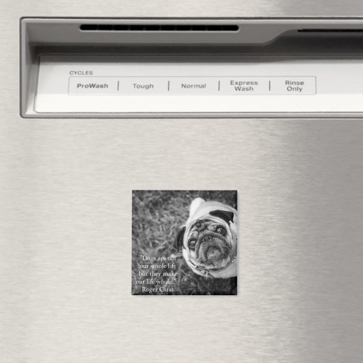 Mops-Magnet Magnet (In Situ (Geschirrspüler))