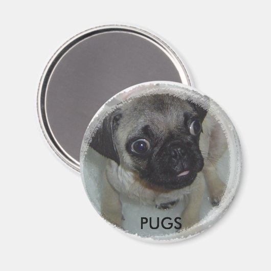 Mops-Magnet Magnet (Vorderseite/Rückseite)