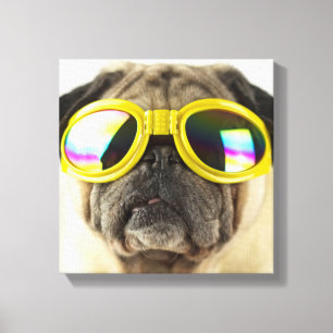 Mops mit Brille Leinwanddruck