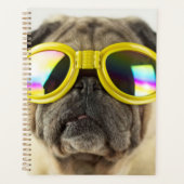 Mops mit Brille Planer (Vorderseite)
