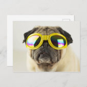 Mops mit Brille Postkarte (Vorne/Hinten)