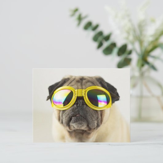 Mops mit Brille Postkarte (Stehend Vorderseite)