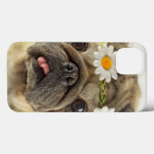 Mops mit Daisy Crown Case-Mate iPhone Hülle (Rückseite (Horizontal))