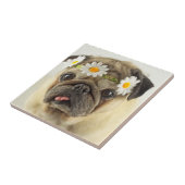 Mops mit Daisy Crown Fliese (Seite)