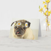 Mops mit Daisy Crown Karte (Gelbe Blume)
