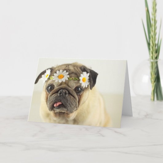 Mops mit Daisy Crown Karte (Vorderseite)
