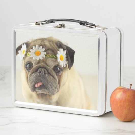 Mops mit Daisy Crown Metall Brotdose (Beispiel)