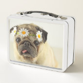 Mops mit Daisy Crown Metall Brotdose (Rückseite)