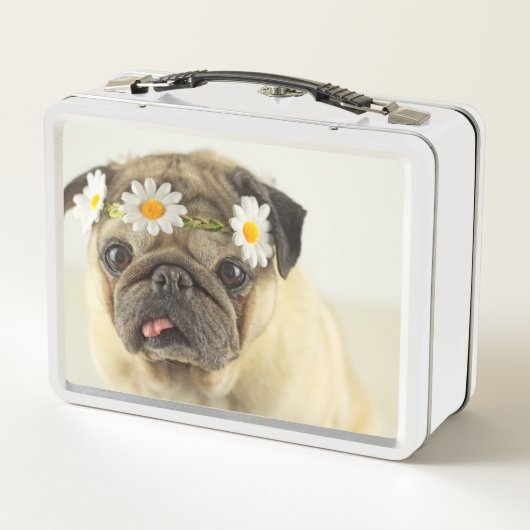 Mops mit Daisy Crown Metall Brotdose (Rückseite)