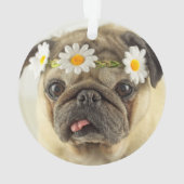 Mops mit Daisy Crown Ornament (Rückseite)