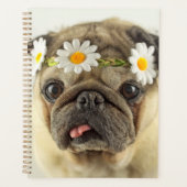 Mops mit Daisy Crown Planer (Vorderseite)