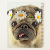 Mops mit Daisy Crown Planer (Rückseite)