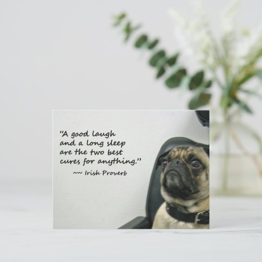 Mops mit der irischen Postkarte (Stehend Vorderseite)