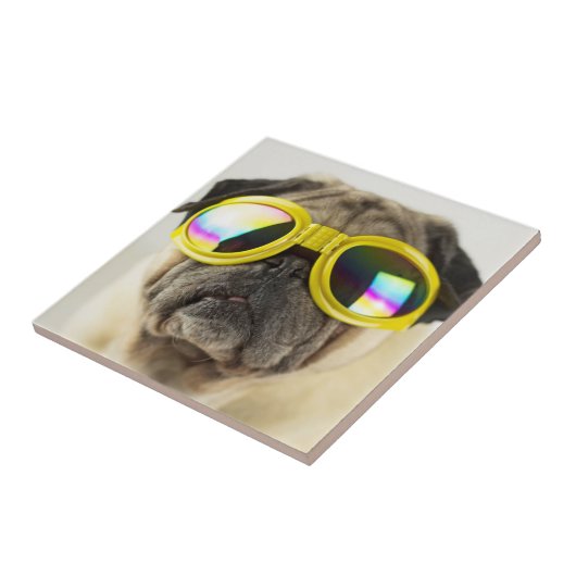 Mops mit Goggles Fliese (Seite)