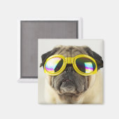 Mops mit Goggles Magnet (Vorderseite/Rückseite)