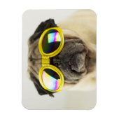 Mops mit Goggles Magnet (Vertikal)