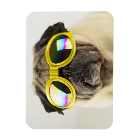 Mops mit Goggles Magnet (Vertikal)