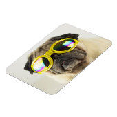 Mops mit Goggles Magnet (Linke Seite)