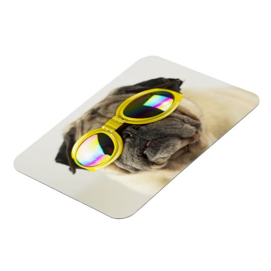 Mops mit Goggles Magnet (Linke Seite)