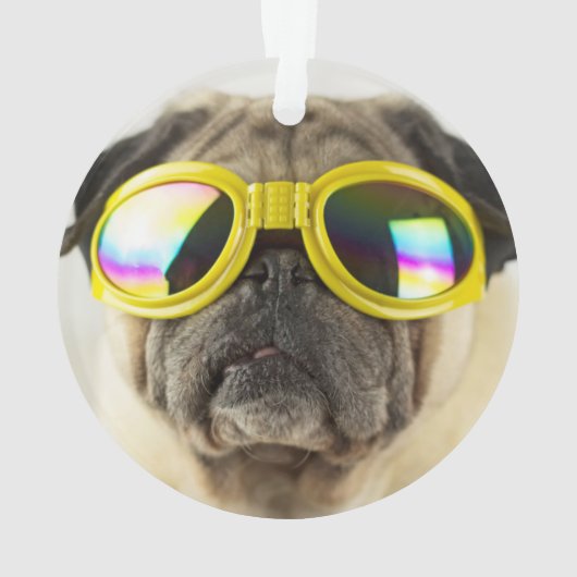 Mops mit Goggles Ornament (Rückseite)