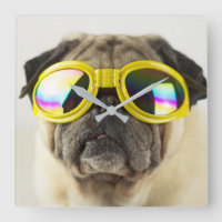 Mops mit Goggles
