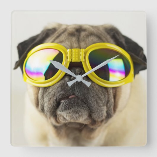 Mops mit Goggles Quadratische Wanduhr (Vorderseite)