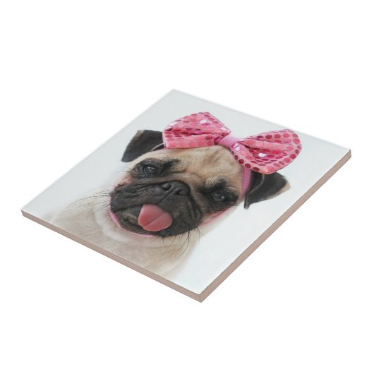Mops mit rosa Bow Fliese (Seite)