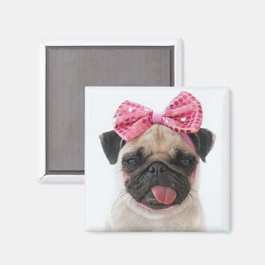 Mops mit rosa Bow Magnet (Vorderseite/Rückseite)