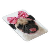 Mops mit rosa Bow Magnet (Rechte Seite)