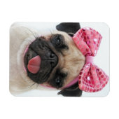 Mops mit rosa Bow Magnet (Horizontal)
