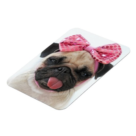 Mops mit rosa Bow Magnet (Linke Seite)