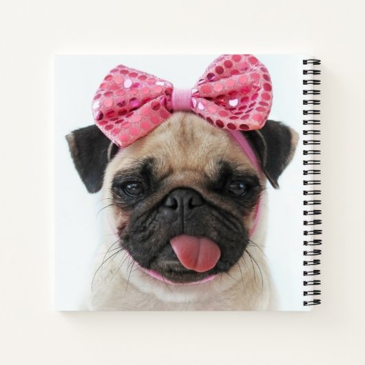 Mops mit rosa Bow Notizblock (Rückseite)