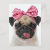 Mops mit rosa Bow Postkarte (Vorderseite)