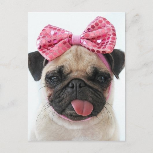Mops mit rosa Bow Postkarte (Vorderseite)