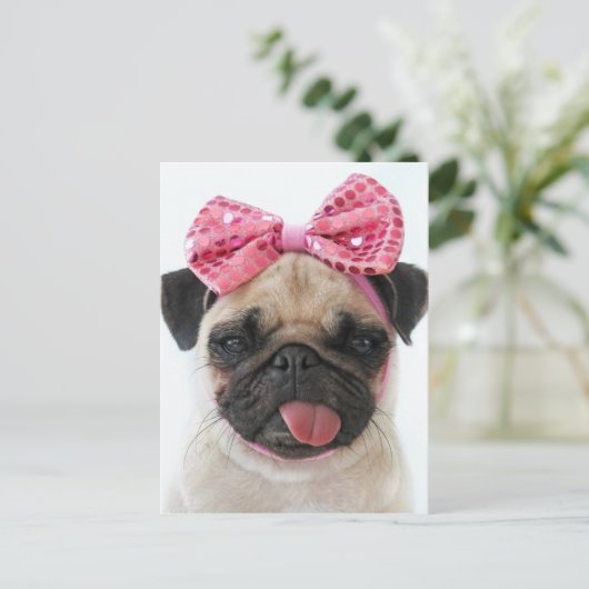 Mops mit rosa Bow Postkarte (Stehend Vorderseite)
