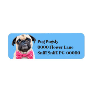 Mops mit rosa Fliege