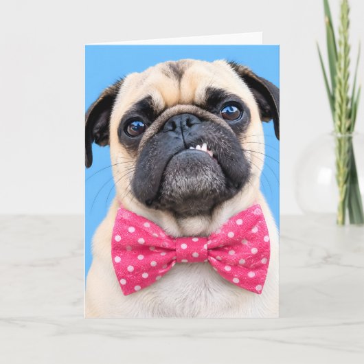 Mops mit rosa Fliege Feiertagskarte (Vorderseite)