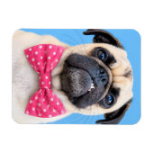 Mops mit rosa Fliege Magnet (Horizontal)
