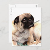 Mops mit Thermometer auf Postkarte (Vorne/Hinten)