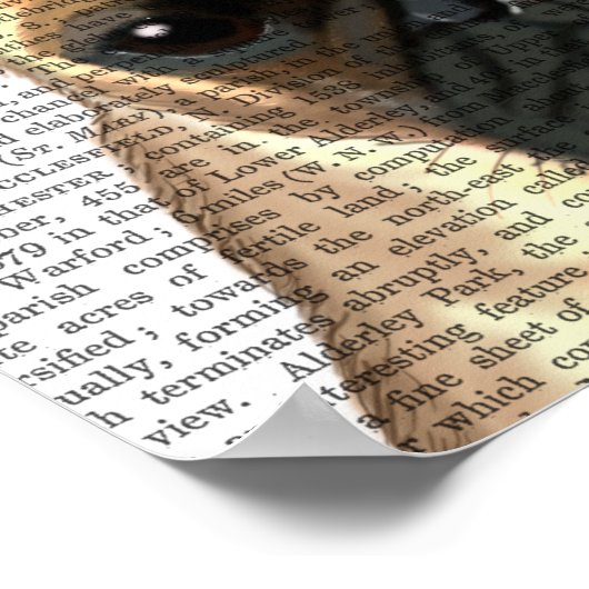 Mops mit Tiara Poster (Ecke)