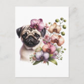 Mops mit Zweigstelle Orchid, Postüberquerung Postkarte (Vorderseite)