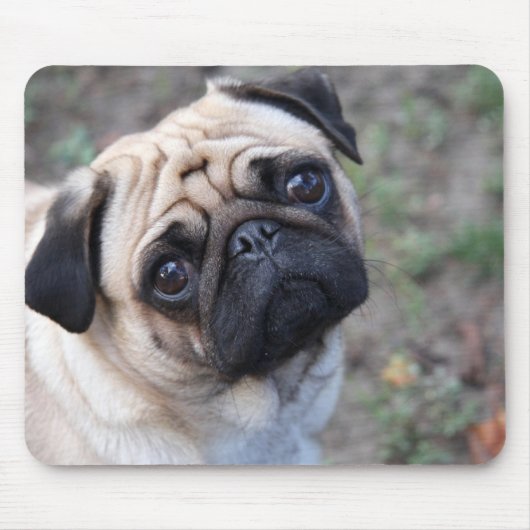 MOPS MOUSEPAD (Vorne)