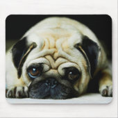Mops Mousepad (Vorne)