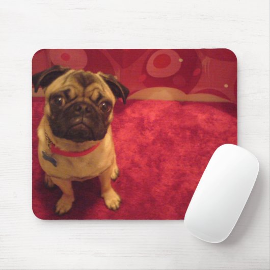Mops Mousepad Machi (Mit Mouse)