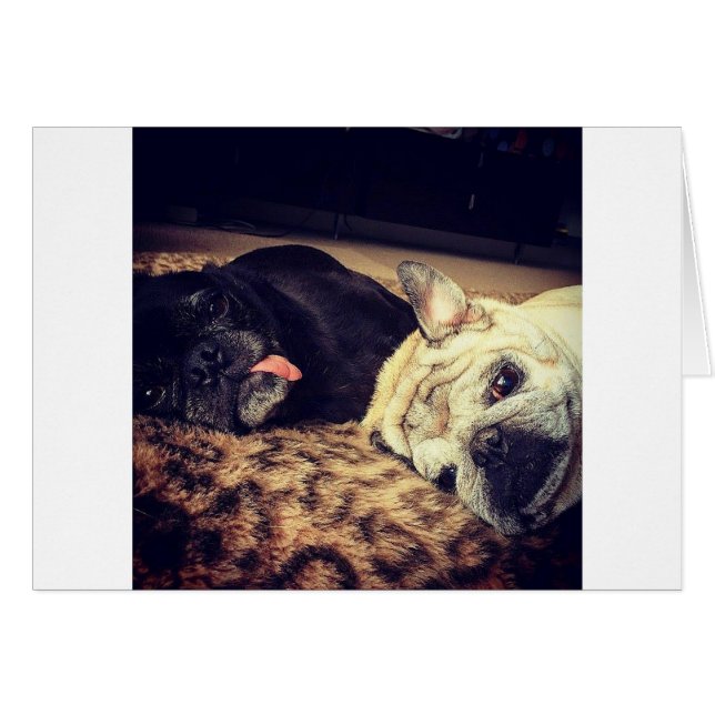 Mops Nickerchen (Vorderseite (Horizontal))