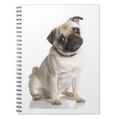 Mops Notizblock (Vorderseite)