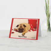 Mops-Nut Feiertagskarte (Vorderseite)