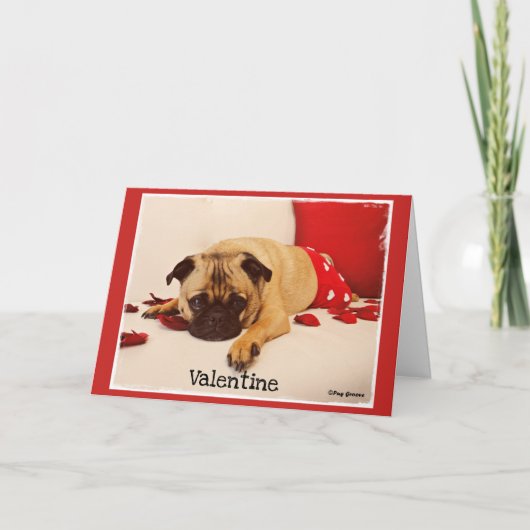 Mops-Nut Feiertagskarte (Vorderseite)